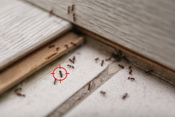 Best Pest Control Treatment  in Butler, OH