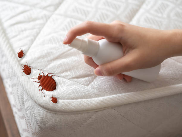 Best Commercial Pest Control Services  in Butler, OH