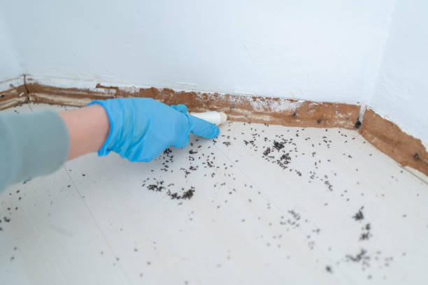 Best Pest Inspection Near Me  in Butler, OH